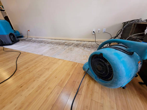 Professional Ceiling Water Damage Repair technician working in Hanover, ME